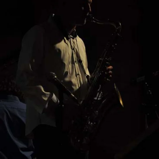 The Brazilian Night feat. Lisa Wahlandt