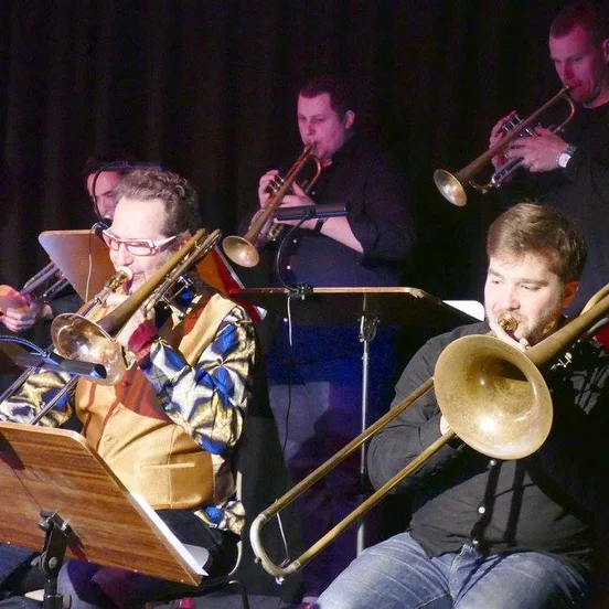 Stefan Schultze Large Ensemble