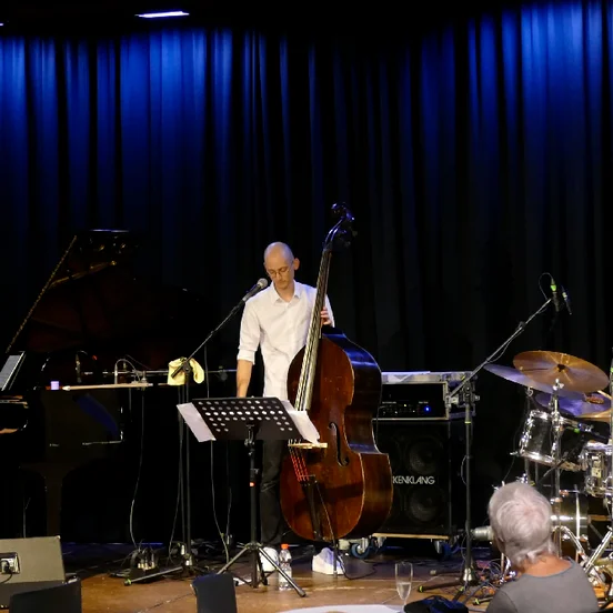 Lukas Langguth Trio