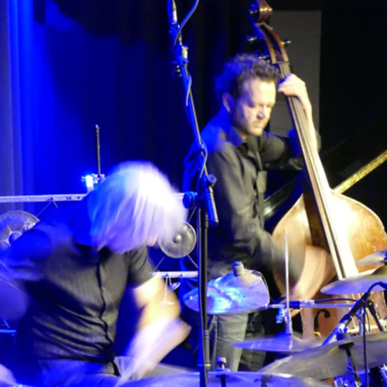 MAGNUS ÖSTRÖM and friends (E.S.T.)