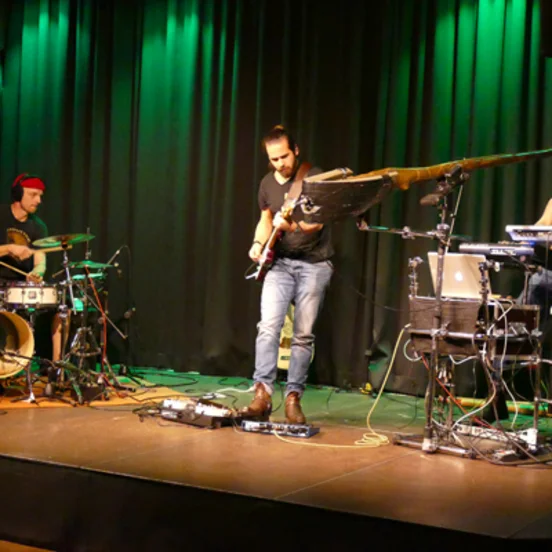 Analogue Birds