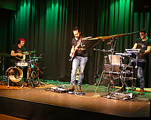 Analogue Birds