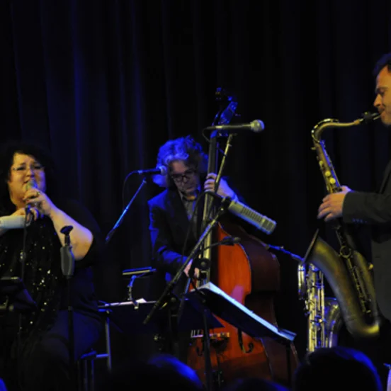 STEFFI DENK & FLEXIBLE FRIENDS