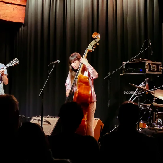 Ellen Andrea Wang Trio