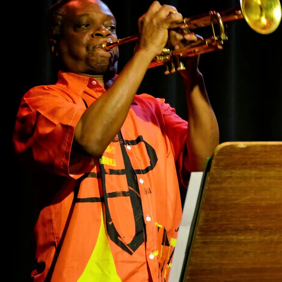 Ray Anderson Pocket Brass Band