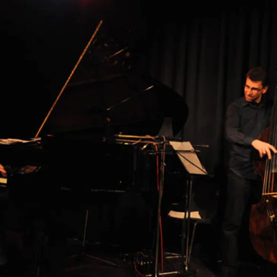 EMIL VIKLICKY TRIO