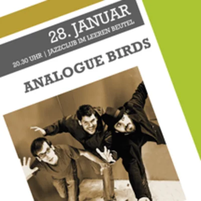 Analogue Birds